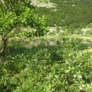 lago Verde tra i rami